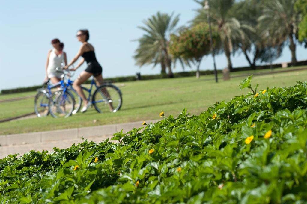 Golden Tulip Al Jazira & Station touristique
